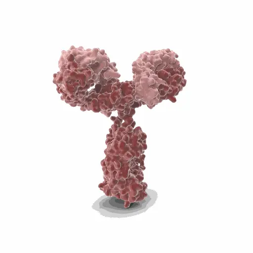 [GEN-ANTI-03] Gentaur Anti-FITC HRP Conjugated Antibody